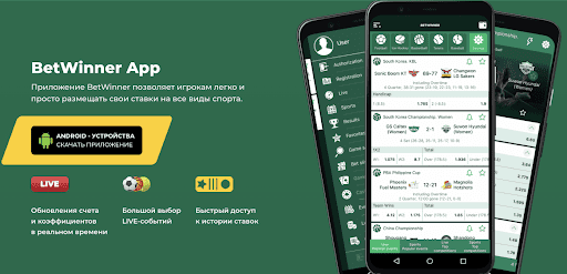 Discover the Excitement of Sports Betting on BetWinner