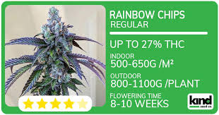 Exploring Fat Bastard Weed Characteristics, Benefits, and Cultivation Exploring Fat Bastard Weed Characteristics, Benefits, and Cultivation