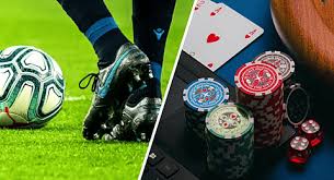 Discover the Excitement of dil bet Your Go-To Betting Platform