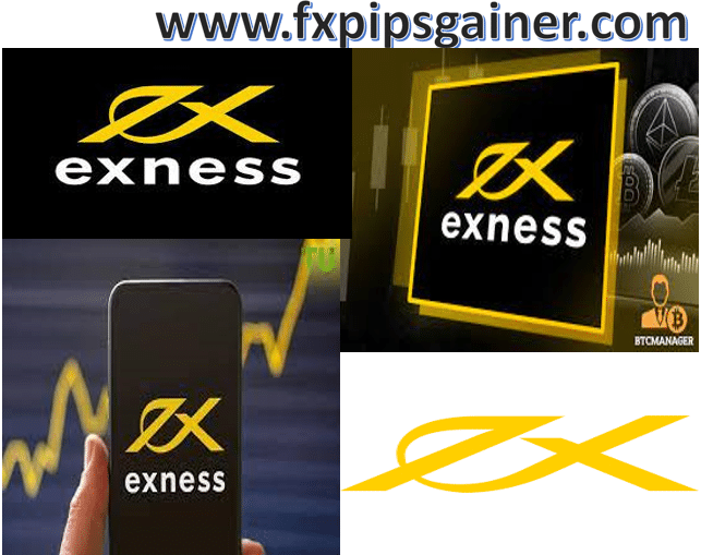Exploring the Exness Main Office A Comprehensive Overview